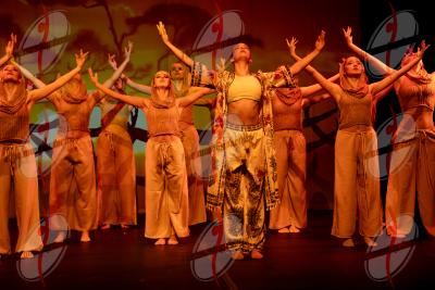 SHOW_00881.jpg
